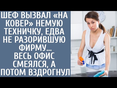 Видео: Шеф вызвал «на ковер» немую техничку, едва не разорившую фирму… Весь офис смеялся, а потом вздрогнул