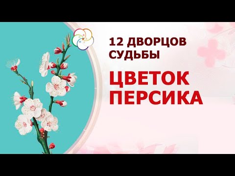 Видео: 12 ДВОРЦОВ СУДЬБЫ: Цветок Персика в 12 Дворцах Судьбы человека