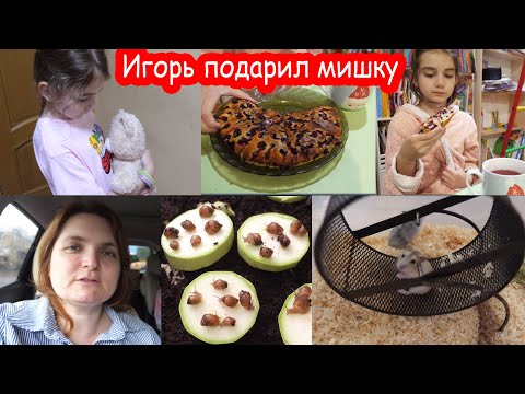 Видео: VLOG То, что я делаю дома каждый день