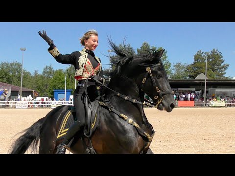 Видео: АНДАЛУЗСКИЕ жеребцы: ►Ратон ►Горди ►Мистерио ►Алхимик #ИППОСФЕРА 2023 ►Парад пород