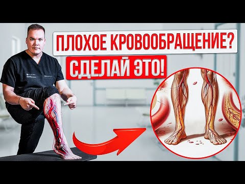 Видео: Как УЛУЧШИТЬ кровообращение в ногах за 7 минут. ЛУЧШИЕ упражнения для кровообращения