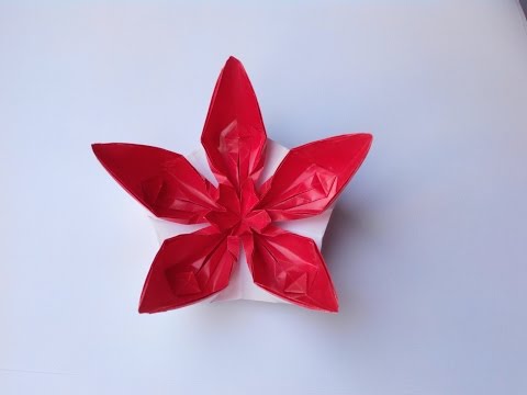 Видео: Цветок 13 (Алексей Жигулёв), Flower 13