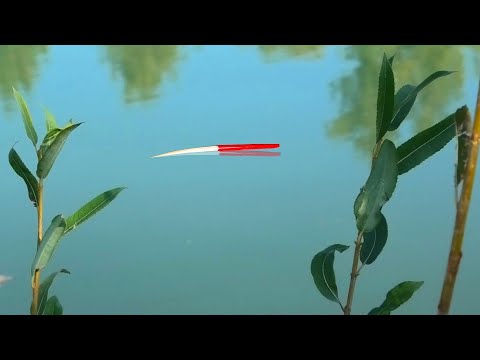 Видео: ЗАКИНУЛ ПРОКИСШУЮ КУКУРУЗУ в КАРЬЕР...ДУМАЛ КАРАСЬ, а это ОНА прёт поплавок! Рыбалка 2021