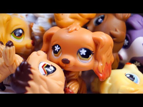Видео: LPS: МОЯ КОЛЛЕКЦИЯ СПАНИЭЛЕЙ