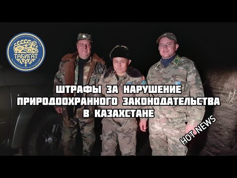 Видео: Штрафы за нарушение ПРАВИЛ ОХОТЫ ! Последняя редакция !!!! Административные правонарушения.