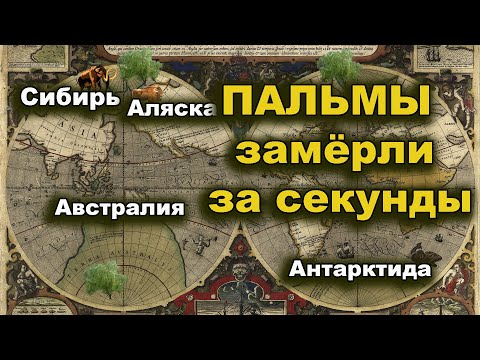 Видео: Сибирь  Аляска  Пальмы замёрзли за секунды