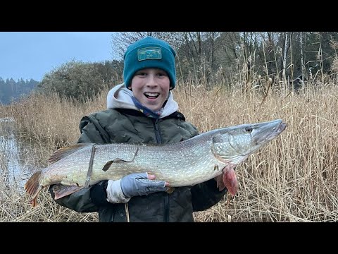 Видео: Осенняя рыбалка на щуку🐟🎣