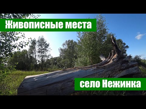 Видео: Живописные места села Нежинка Оренбургского района (10 км от Оренбурга)