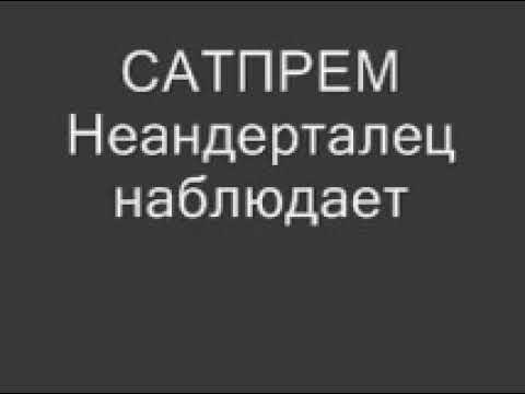 Видео: Сатпрем. Неандерталец наблюдает.