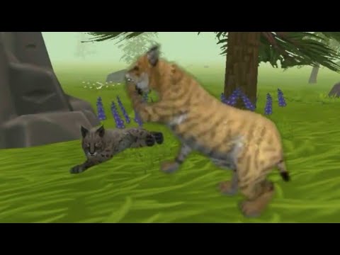Видео: Мини-фильм "Старшая сестра" wild craft