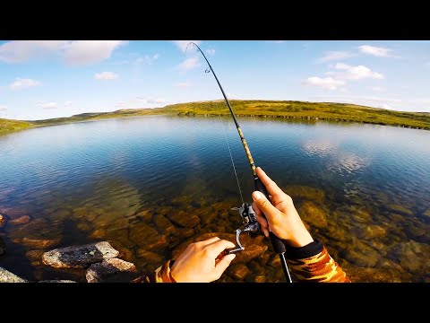 Видео: КИЛОГРАММОВЫЕ ХАРИУСЫ НА КАЖДОМ ЗАБРОСЕ. ВОТ ЭТО РЫБАЛКА В ТУНДРЕ!!!