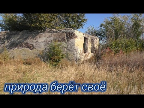 Видео: Прошёл сколько смог,всё заросло.Все ушли.село Шоптыколь