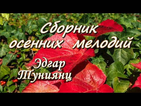 Видео: Музыка Осени! Сборник восхитительных осенних мелодий Эдгара Туниянц.
