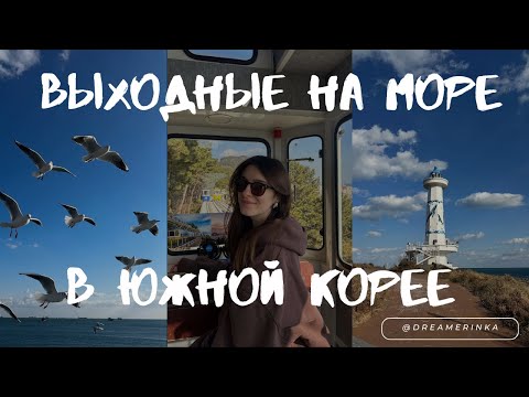 Видео: Южная Корея: топовые локации Пусан и Ульсан | Что посмотреть на море (зимой)?