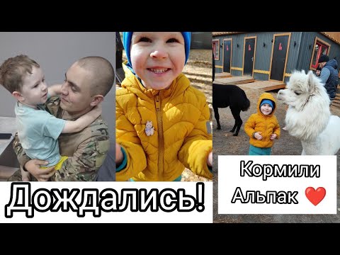 Видео: Брат Вернулся из Армии 🥳| У Семёна Скарлатина 😐 | Посетили Парк Альпак🦙