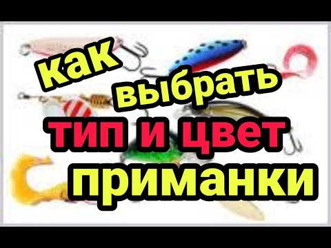 Видео: Как выбрать тип и цвет приманки на спиннинг в зависимости от времени года!