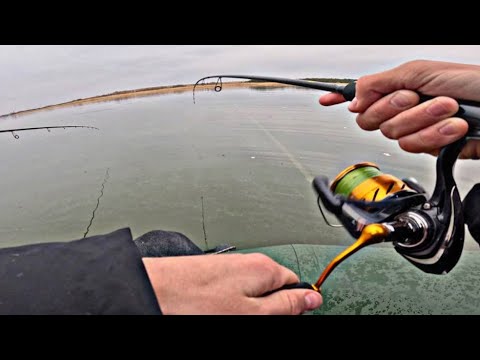 Видео: ВСЕ ТАКИ Я ПОЙМАЛ ЕГО! Рыбалка на судака с лодки