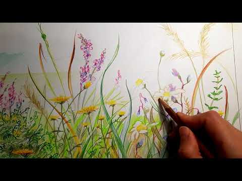 Видео: Мастер-класс по Ботанике. Рисуем поляну цветными карандашами.