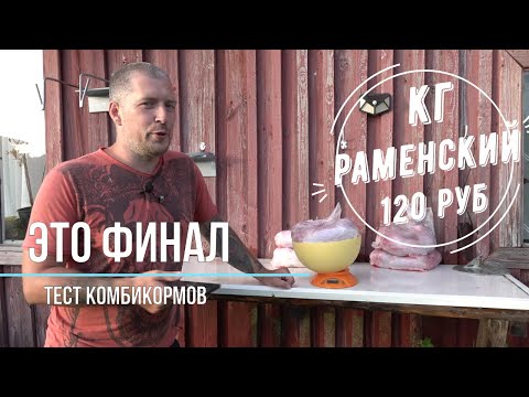Видео: финал эксперимента по кормлению разными комбикормами