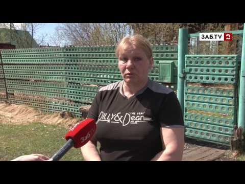 Видео: Спецрепортаж: под мэром Могочи Красновым шатается кресло