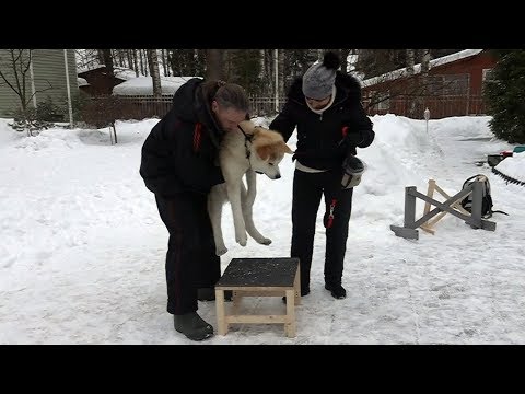 Видео: ТОП-5 ошибок недели. Выпуск 2.