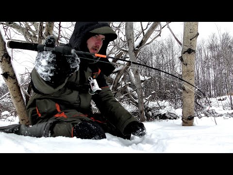 Видео: В ЗАВАЛЕ НАШЕЛ КАБАНОВ!! НЕ ЗРЯ ПРОБИВАЛИСЬ ТУДА!! Рыбалка на Оби ,Килограммовые окуни.
