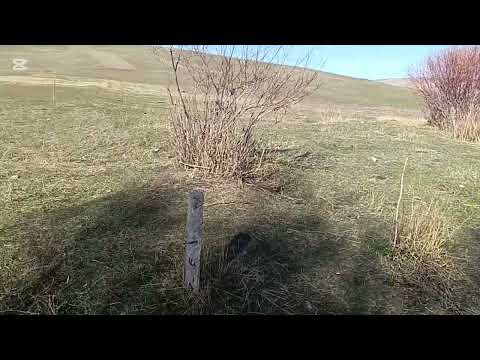 Видео: 15 сотык участок сатылат тел 0706011048