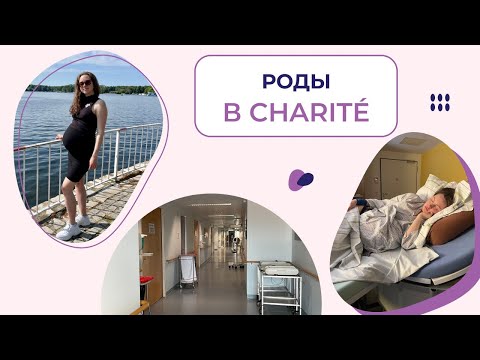 Видео: Беременность и роды в Германии. Моя история I Charité Berlin