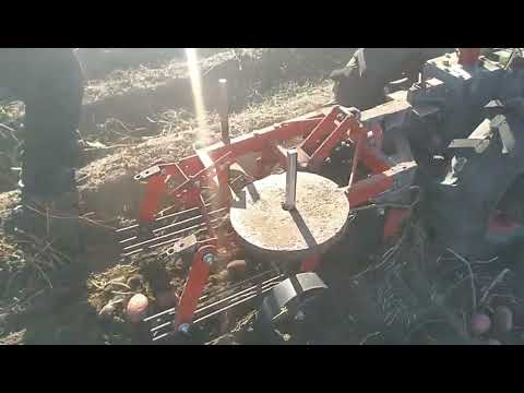 Видео: Испытание,настройка переделанной картофелекопалки для мотоблока Мотор Сич.Урожай 2022.