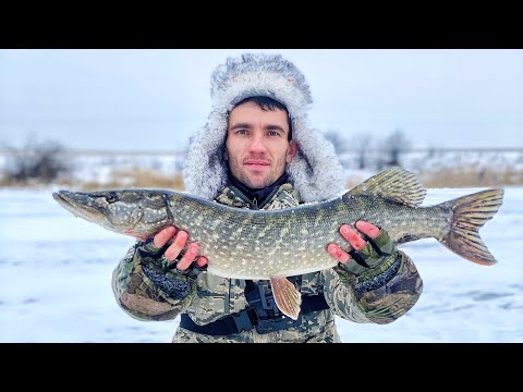 Видео: ПОПАЛИ на МОНСТРОВ! Это ЖЕСТЬ!!! Крокодилы РВУТ леску и ломают жерлицы!
