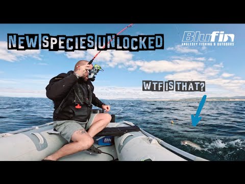 Видео: НОВЫЕ ВИДЫ ~ 7 миль на лодке ~ НЕОЖИДАННЫЙ УЛОВ!!! ~ SIB Fishing UK