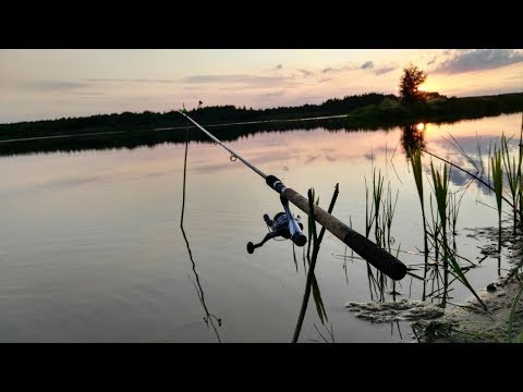 Видео: Ловля на фидер с ночёвкой! Этот монстр дал жару! МНОГО РЫБЫ! Рыбалка в Беларуси 2019!