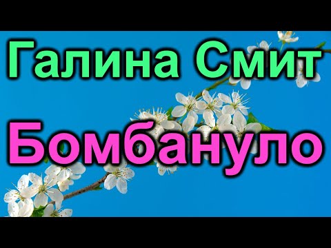 Видео: Галина Смит. Из-за комментария понеслась