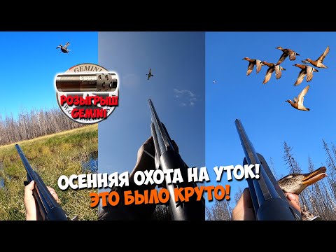 Видео: Невероятная осенняя охота на уток! Розыгрыш от GEMINI!