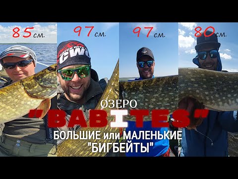 Видео: ТРОФЕЙНАЯ ЩУКА в Латвии!🇱🇻 оз."Babītes"🎣🐟
