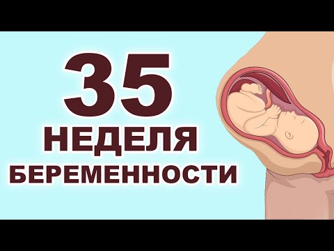 Видео: Что происходит с ребенком и мамой на 35 неделе беременности? 8 месяц беременности. Третий триместр.