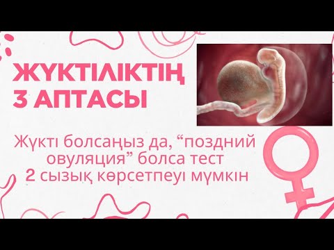 Видео: ЖҮКТІЛІКТІҢ 3 АПТАСЫ/ЖҮКТІЛІКТІҢ АЛҒАШҚЫ БЕЛГІЛЕРІ/ТЕСТ НА БЕРЕМЕННОСТЬ