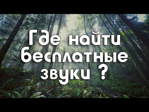 Видео: Где найти бесплатные звуки для игры?