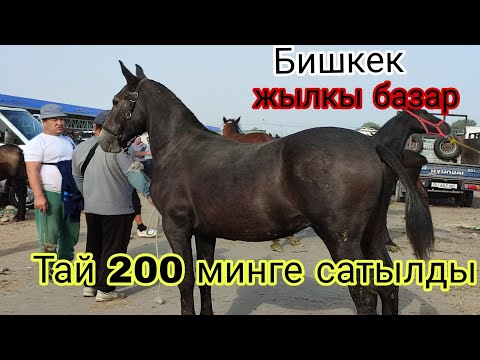 Видео: 6-СЕНТЯБРЬ БАЗАРЫ КАЙНГАН БИШКЕК