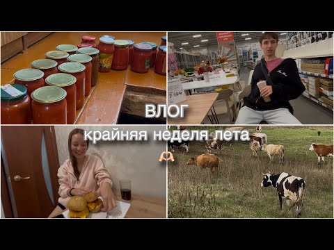Видео: влог//что я делаю каждое лето в Стерлитамаке?// крайняя неделя лета!! 😟💔
