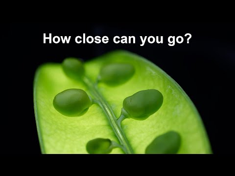 Видео: Стекинг фокуса в студии: основы макросъемки