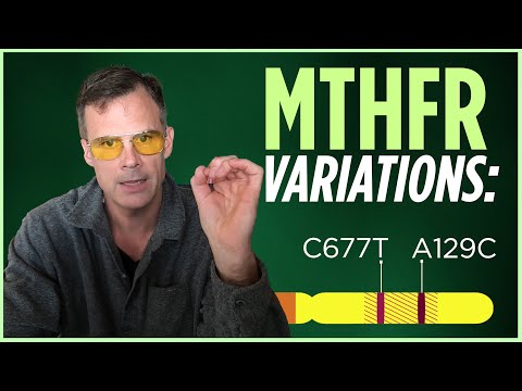 Видео: Объяснение двух основных вариантов MTHFR: MTHFR C677T и MTHFR A1298C