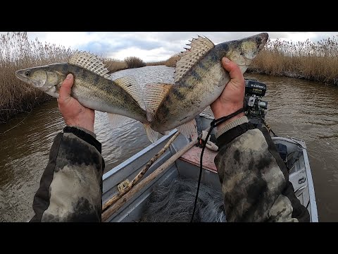 Видео: Рыбалка кастинговой сетью. Удачное завершение сезона по жидкой воде.