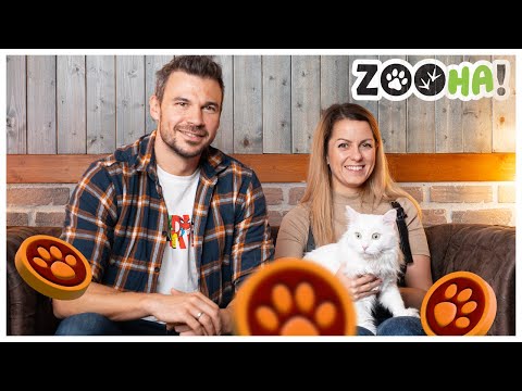 Видео: Пълна къща 🏠 с Ивайло Захариев и Стани 🐈
