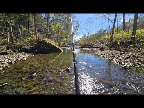 Видео: ХАРИУС. Октябрь 2025. Осенняя рыбалка на горной реке с ночевкой. Рыбалка в приморском крае