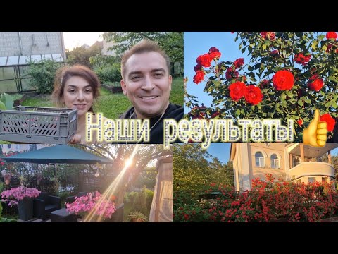 Видео: Наши  дачные результаты 👍Первый урожай😅👍 Видео: 31.05.24.