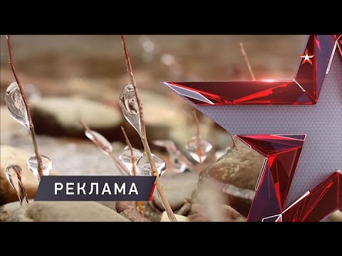 Видео: Местная реклама (Звезда (Ростов-на-Дону), 12.11.2025)