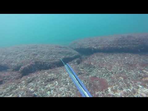 Видео: Кызыл Озен.  15.10.2018г. Подводная охота. Каспийское море Актау.