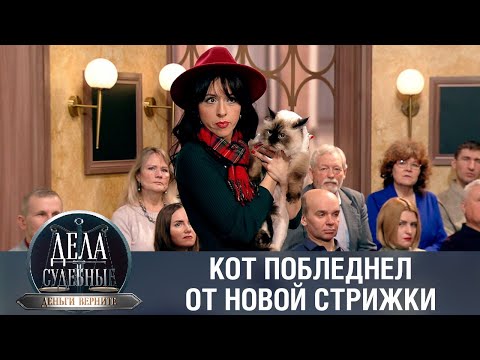 Видео: Дела судебные с Николаем Бурделовым. Деньги верните! Эфир от 27.01.23