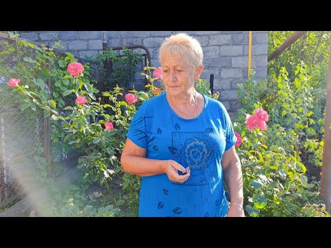 Видео: Дочь притащила помидоры. Ну вот зачем они уже нужны?!